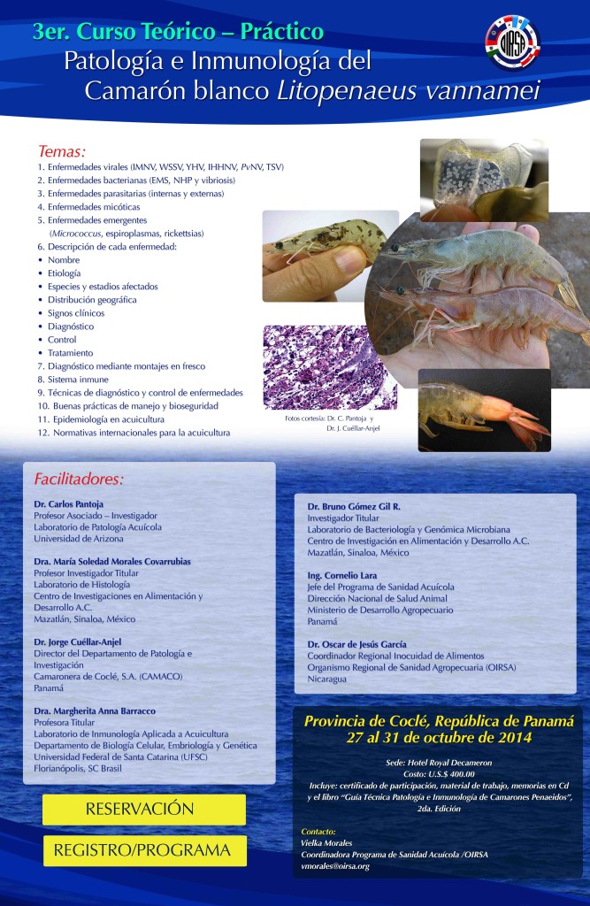 AFICHE 3er curso Camaron 2014